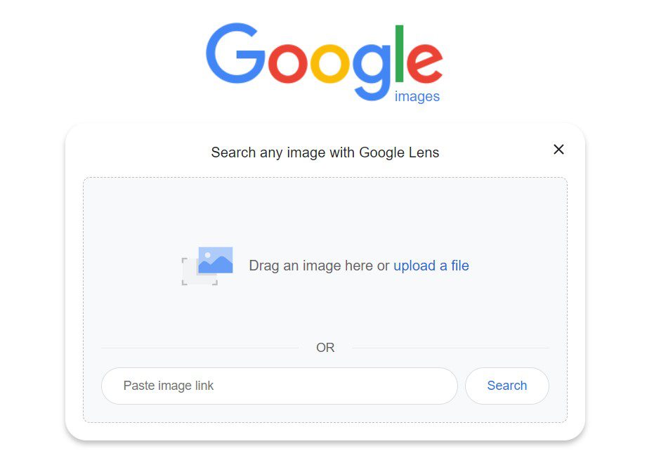 Google reverse image search